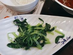 -南山竹海·珍味堂