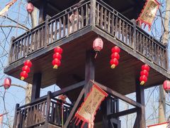 -合肥滨湖国家森林公园