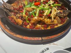 -老板恋上鱼(高新万达店)