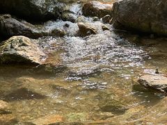 -南海湾森林生态园
