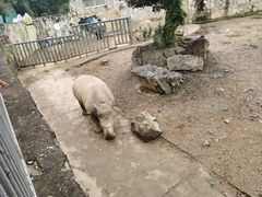 -无锡动物园·太湖欢乐园