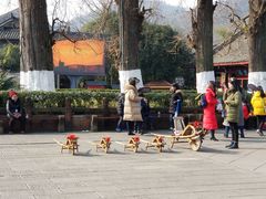 -崇州市街子古镇