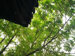-苏城小院·园林精致苏州菜(斜塘老街店)