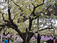 -江苏三台山国家森林公园