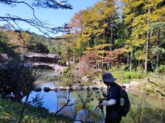 -溪口商量岗景区