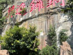 -铁山坪森林公园