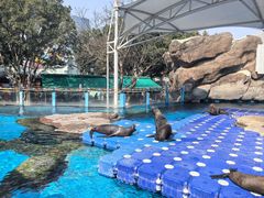 -海合安成都极地海洋公园