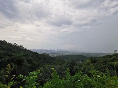 -火炉山森林公园