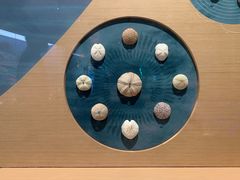 -中国湿地博物馆