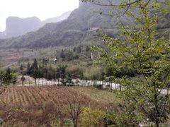 -鹿院坪生态旅游景区