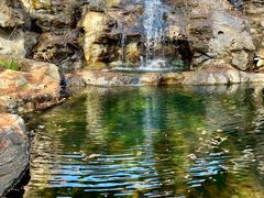 -国家植物园南园