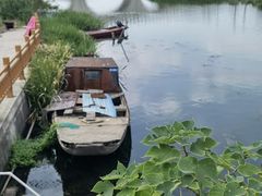 -莲花岛景区