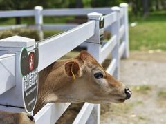 -哈尔滨北方森林动物园