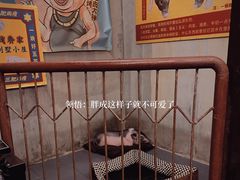 -三肥两瘦烤肉(鹿城店)