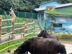 -西安秦岭野生动物园