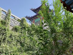 -兰山公园