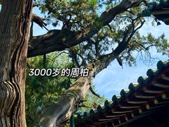 -晋祠博物馆