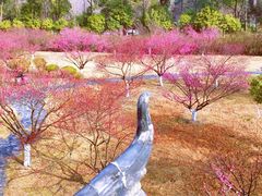 -黄陂区野村谷景区