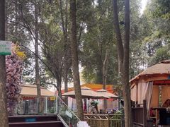 -二荆条·蜀鲜汇城市森林火锅