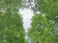 -贵阳市花溪国家城市湿地公园