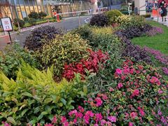 -浙江省立同德医院(翠苑院区)