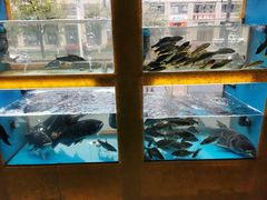 -淳安二十八道·美食汇·淳鱼馆(阳光路店)