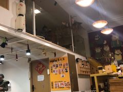 -南京Hallo宠物乐园·哈罗犬舍·柴犬繁育基地