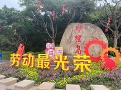 -野狸岛