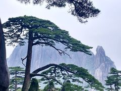 -黄山风景区
