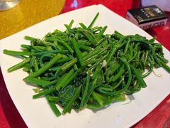 佛手瓜苗-粤北餐馆