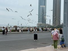 -星海广场