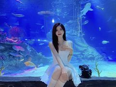 -沈阳海洋探索中心