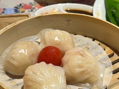 -隆隆金大茶楼(明珠广场店)