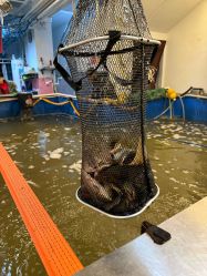 -巡鱼道·室内垂钓·渔具店