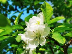 -海棠花溪(元大都城垣遗址公园)