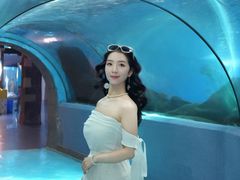 -合肥海洋世界