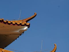 -深圳仙湖植物园