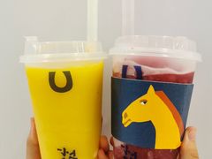 -春丽小马(济南恒隆广场店)