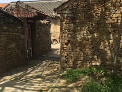 -莱阳濯村樱花园