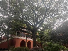 -南岳衡山风景名胜区-南岳大庙