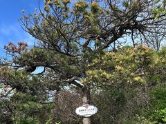 -柳州肥姨妈大骨螺蛳粉(沙河店)