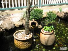 IMG_0628-三亚亚龙湾凯莱仙人掌度假酒店