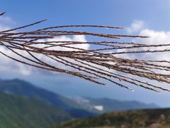 -七娘山