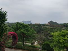 -东莞植物园