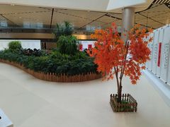 -哈尔滨太平国际机场-T2航站楼