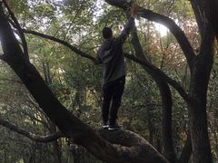 -尧山风景区