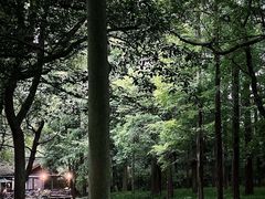 -印象西湖·最忆是杭州实景演出