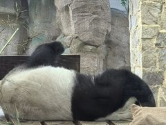 -无锡动物园·太湖欢乐园