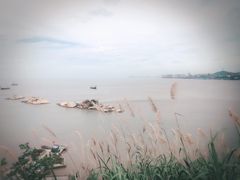-北岐滩涂