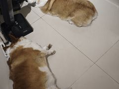-平行世界·猫咖(首经贸店)
